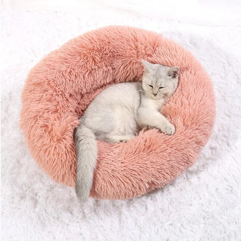 Cat relaxing in the pink donut bed