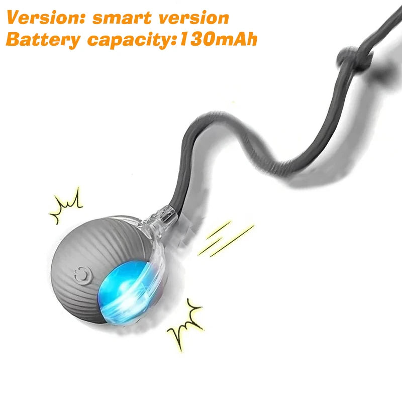 Quorix Smart Rolling Ball for Dogs & Cats
