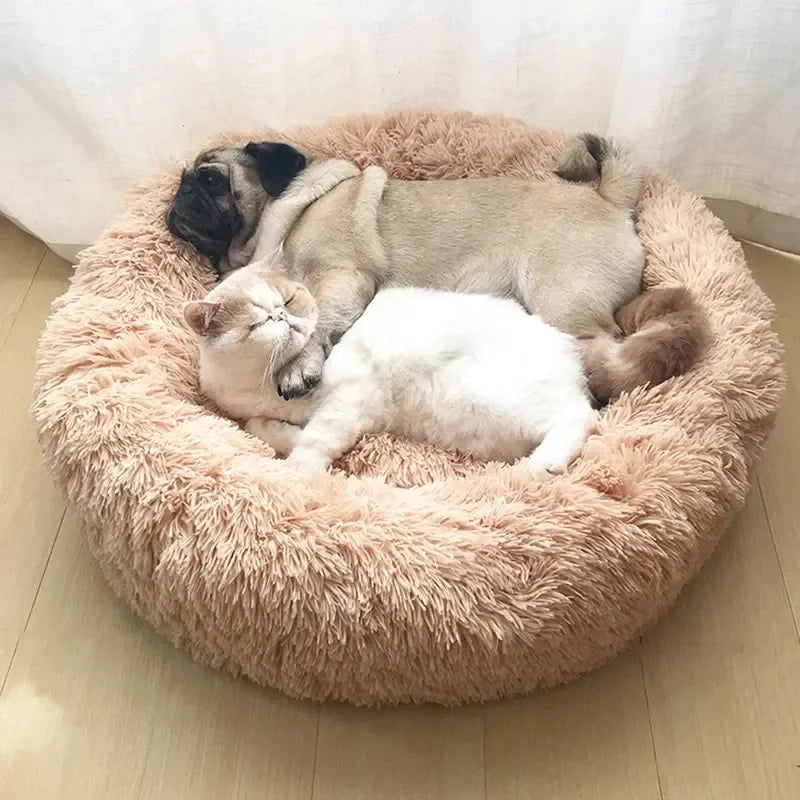Dog and cat curled up together in the Quorix Cloud Donut Bed