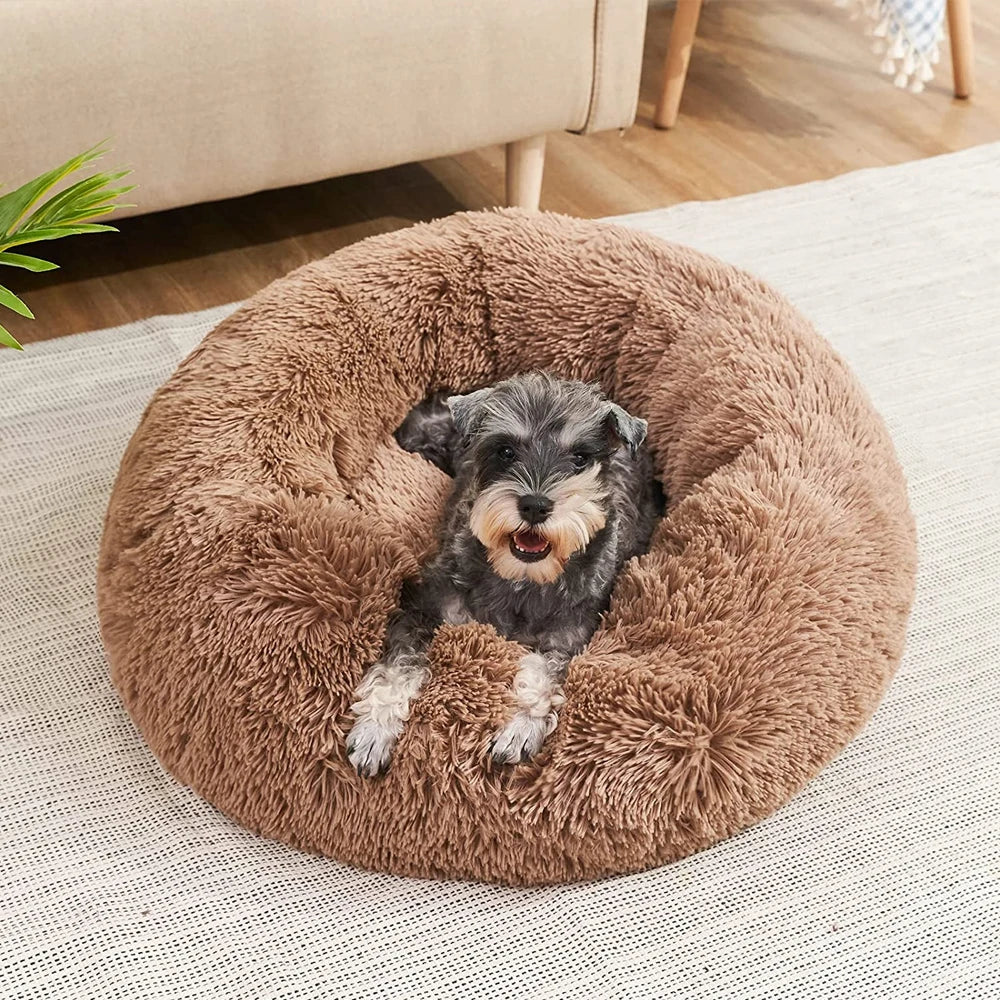 Small dog curled up in the coffee donut bed