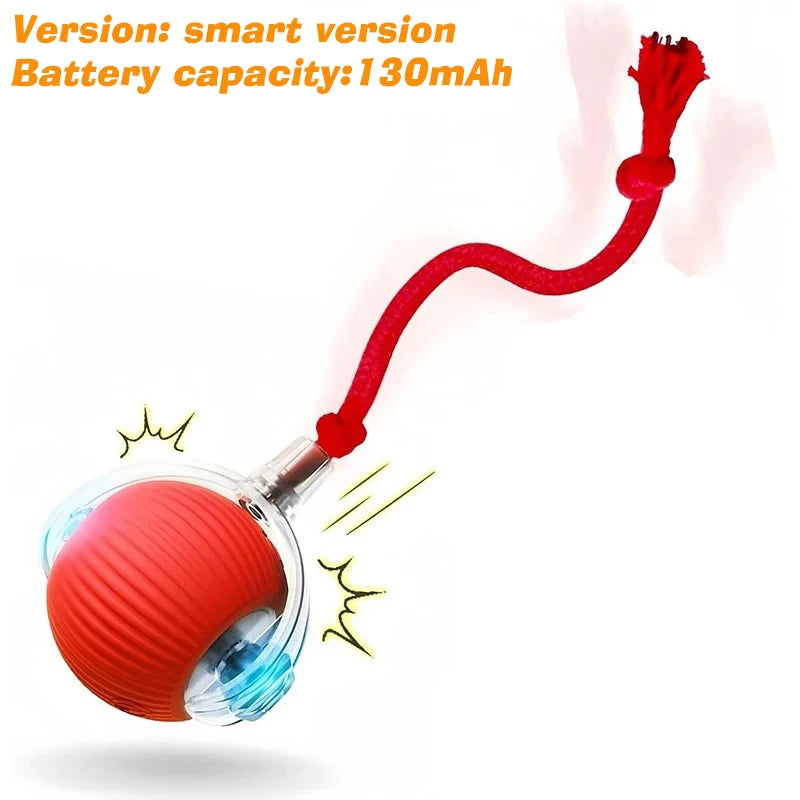 Quorix Smart Rolling Ball for Dogs & Cats