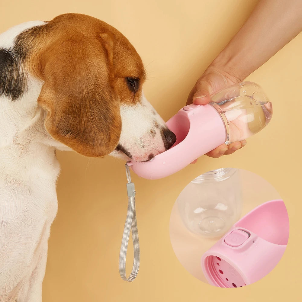 Dog drinking from the Quorix On-the-Go Water Bottle