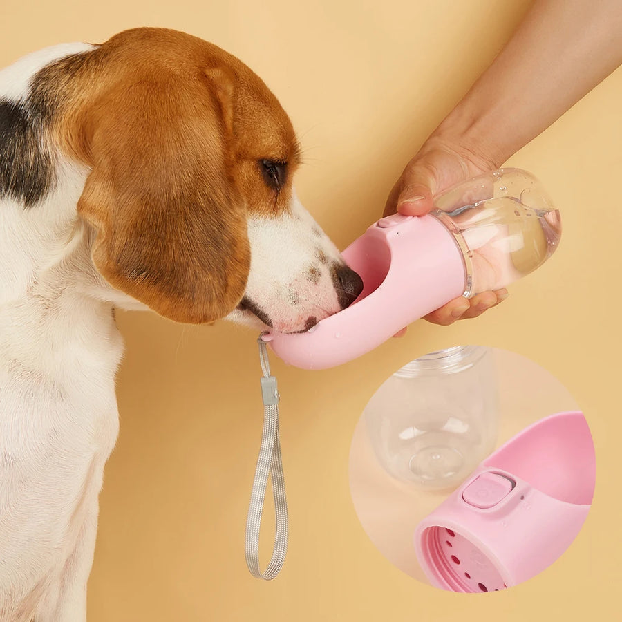 Dog drinking from the Quorix On-the-Go Water Bottle