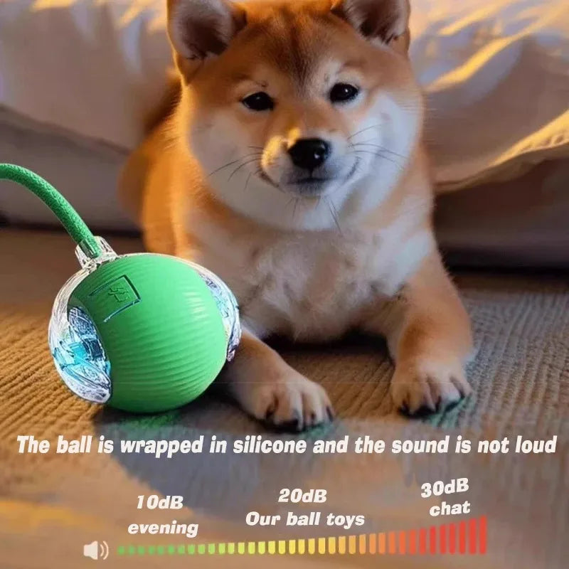 Dog chewing the soft rope tail