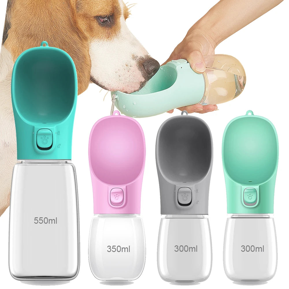 On-the-Go Water Bottle colors with a dog