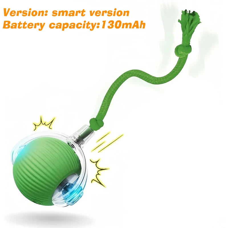 Quorix Smart Rolling Ball for Dogs & Cats