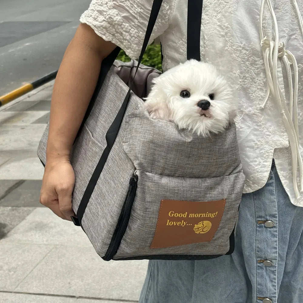 Small dog inside the carry seat
